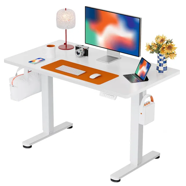 ErGear Electric Standing Desks 100x60 bureau assis-debout blanc 80 kg