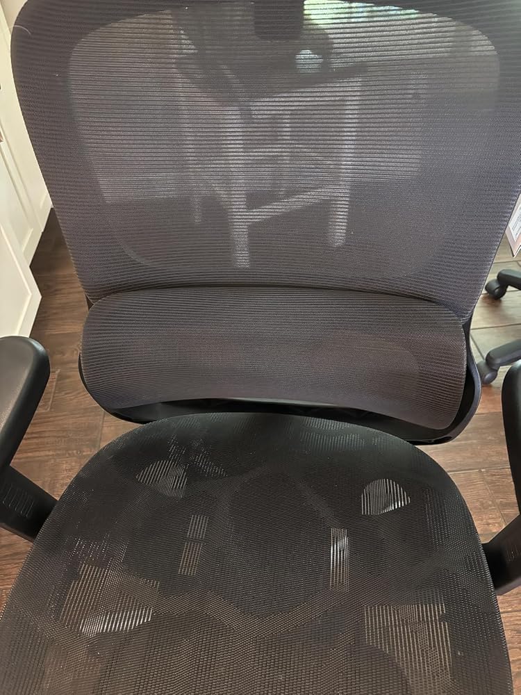 Hbada P Series P2 siège ergonomique gris soutien lombaire