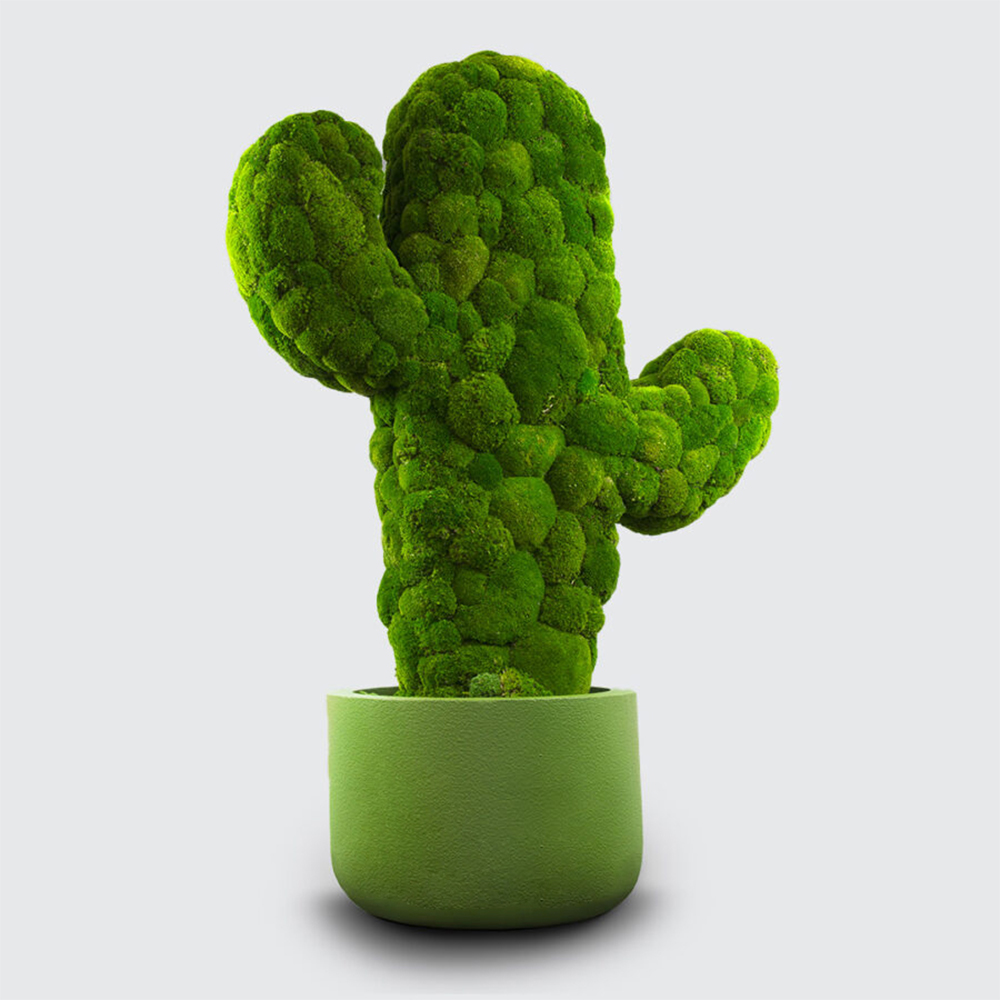 CUF Milano Cactus panneau acoustique bureau